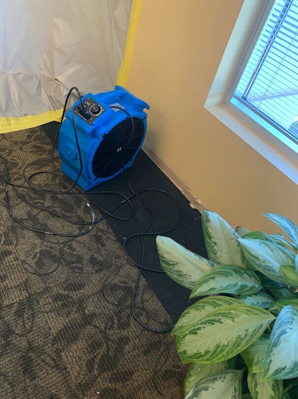 water damage